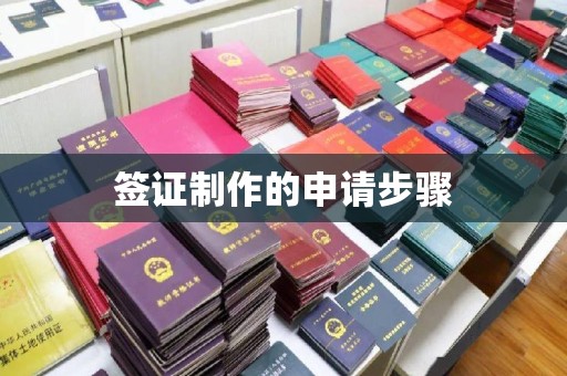 卢龙签证制作的申请步骤