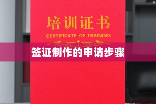 卢龙签证制作的申请步骤