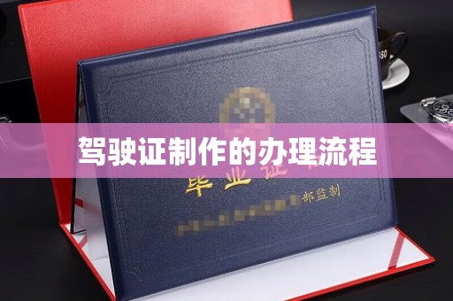 卢龙驾驶证制作的办理流程