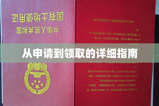 卢龙从申请到领取的详细指南