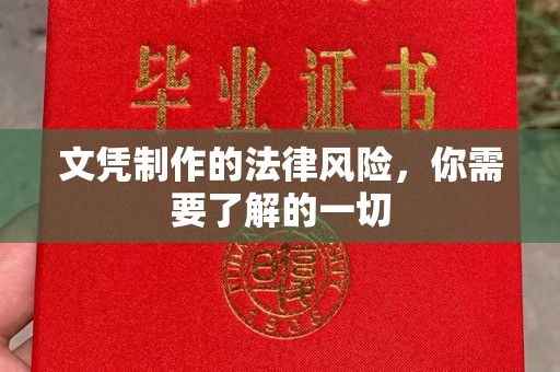 卢龙文凭制作的法律风险，你需要了解的一切