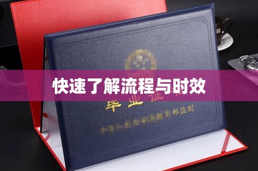 卢龙快速了解流程与时效