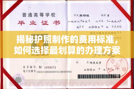 卢龙揭秘护照制作的费用标准，如何选择最划算的办理方案？