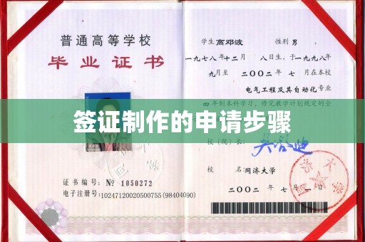 卢龙签证制作的申请步骤