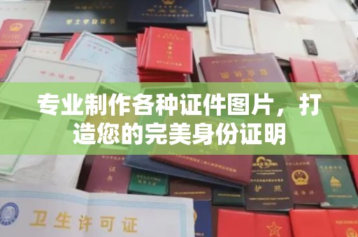 卢龙专业制作各种证件图片，打造您的完美身份证明