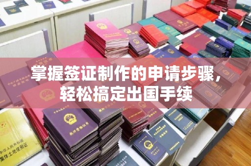 卢龙掌握签证制作的申请步骤，轻松搞定出国手续