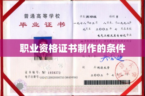 卢龙职业资格证书制作的条件