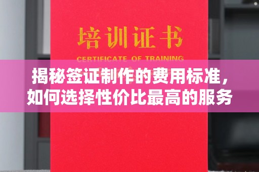 卢龙揭秘签证制作的费用标准，如何选择性价比最高的服务？