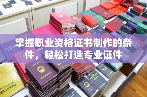 卢龙掌握职业资格证书制作的条件，轻松打造专业证件