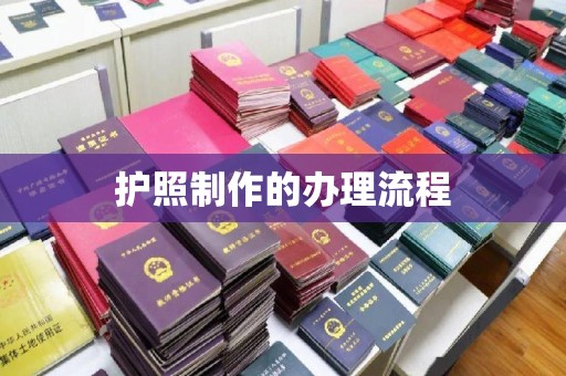 卢龙护照制作的办理流程