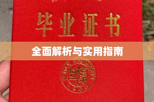 卢龙全面解析与实用指南